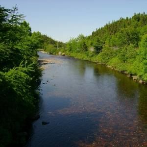 Meet your Posher, Eileen